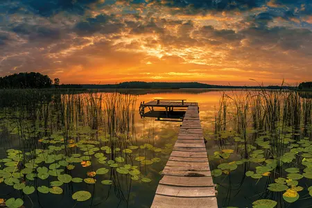 Alexsar Art schilderij Deco panel panorama 70x50cm