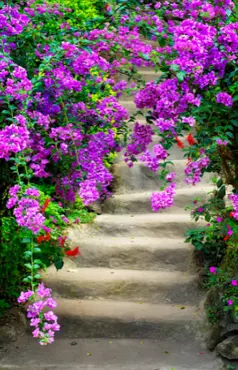 Alexsar Art Tuindoek bloemen trap 90x140cm - afbeelding 1