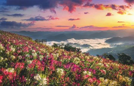 Alexsar Art Tuindoek bloemenweide 140x90cm - afbeelding 1