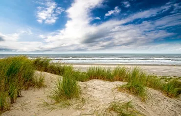 Alexsar Art Tuindoek duinen strand 140x90cm - afbeelding 1