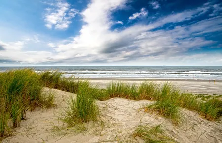 Alexsar Art Tuindoek duinen strand 210x140cm