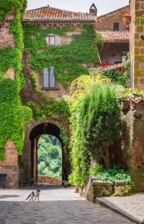 Alexsar Art Tuindoek groen pleintje 90x140cm - afbeelding 1