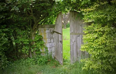 Alexsar Art Tuindoek houten deur 210x140cm