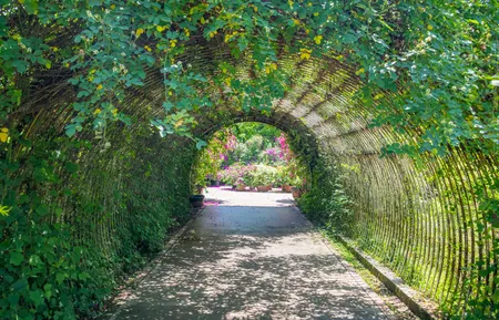 Alexsar Art Tuindoek klimplant 210x140cm