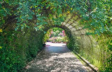 Alexsar Art Tuindoek klimplant 210x140cm