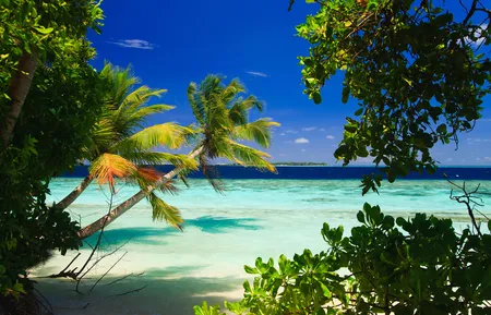 Alexsar Art Tuindoek oceaan 140x90cm - afbeelding 1