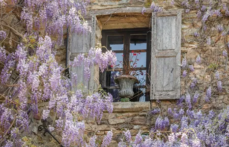 Alexsar Art Tuindoek paarse bloemen raam 140x90cm - afbeelding 1