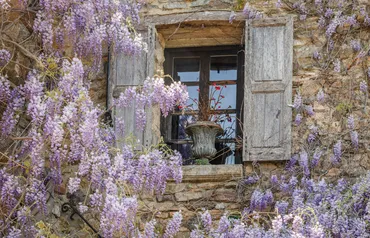 Alexsar Art Tuindoek paarse bloemen raam