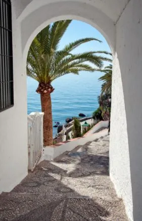 Alexsar Art Tuindoek palm boog 210x140cm