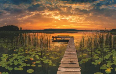 Alexsar Art Tuindoek panorama