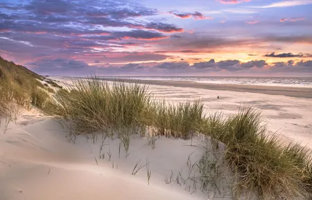 Alexsar Art Tuindoek strand duin 210x140cm