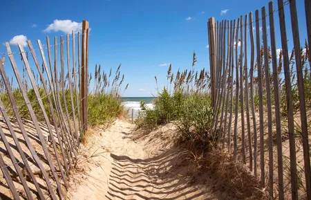 Alexsar Art Tuindoek strand pad 140x90cm - afbeelding 1