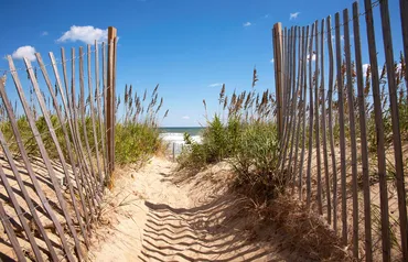 Alexsar Art Tuindoek strand pad 140x90cm - afbeelding 1