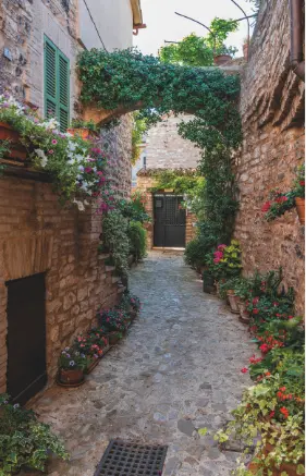 Alexsar Art Tuindoek umbria 210x140cm