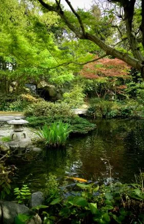 Alexsar Art Tuindoek vijver 90x140cm - afbeelding 1