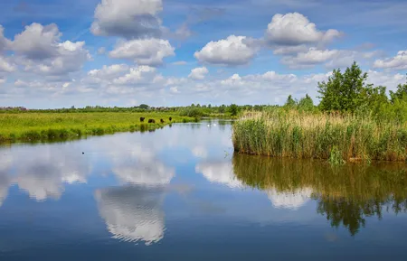 Alexsar Art Tuindoek wateren 140x90cm - afbeelding 1