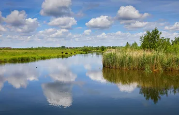 Alexsar Art Tuindoek wateren 140x90cm - afbeelding 1