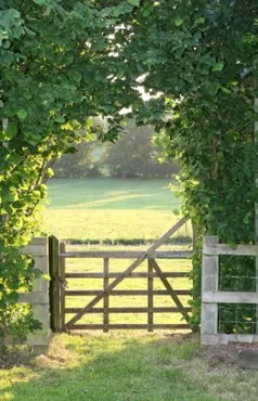 Alexsar Art Tuindoek weide hek