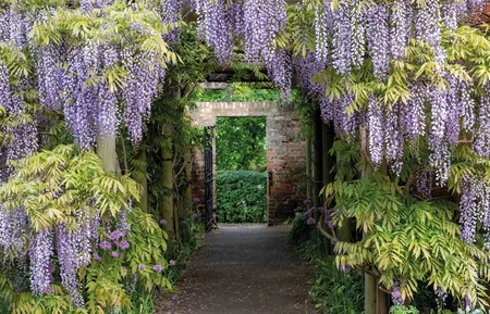 Alexsar Art Tuindoek wisteria 210x140cm