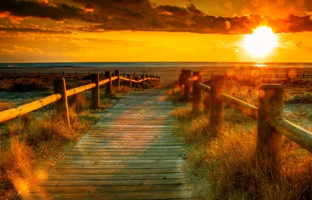 Alexsar Art Tuindoek zonnig 210x140cm