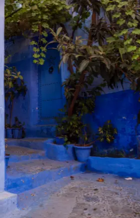 Alexsar Art Tuinschilderij blauwe trap 70x50cm - afbeelding 1