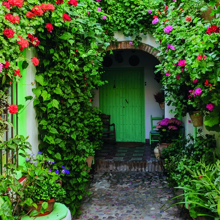 Alexsar Art Tuinschilderij bloemen deur 50x50cm - afbeelding 1