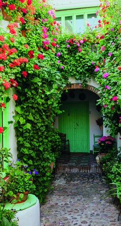 Alexsar Art Tuinschilderij bloemen deur 130x70cm