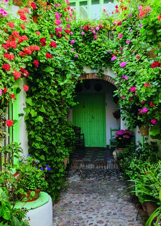 Alexsar Art Tuinschilderij bloemen deur 70x50cm