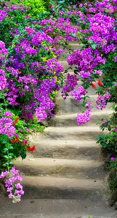 Alexsar Art Tuinschilderij bloemen trap 130x70cm