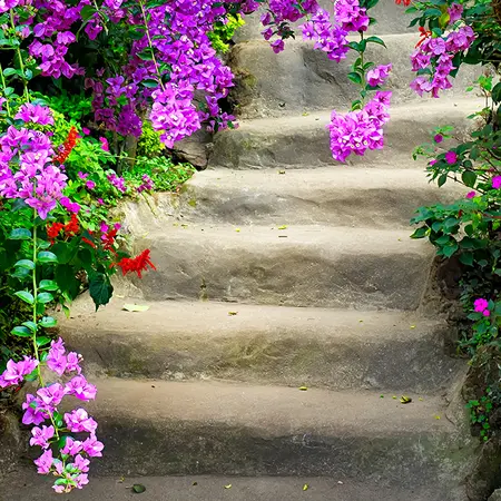 Alexsar Art Tuinschilderij bloemen trap 50x50cm - afbeelding 1