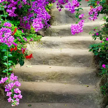 Alexsar Art Tuinschilderij bloemen trap 50x50cm - afbeelding 1