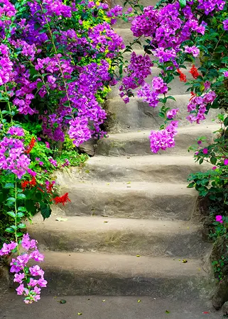 Alexsar Art Tuinschilderij bloemen trap 70x50cm