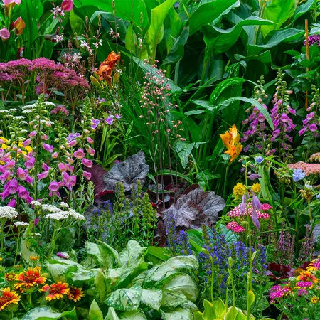 Alexsar Art Tuinschilderij bloementuin 70x70cm