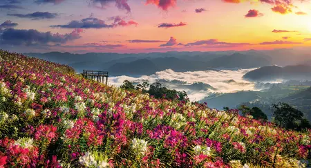 Alexsar Art Tuinschilderij bloemenweide 130x70cm