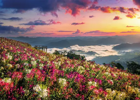 Alexsar Art Tuinschilderij bloemenweide 70x50cm - afbeelding 1