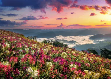 Alexsar Art Tuinschilderij bloemenweide 70x50cm - afbeelding 1