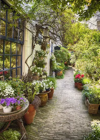 Alexsar Art Tuinschilderij bloempot pad 70x50cm - afbeelding 1