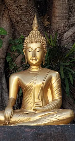 Alexsar Art Tuinschilderij boedhha goud 130x70cm