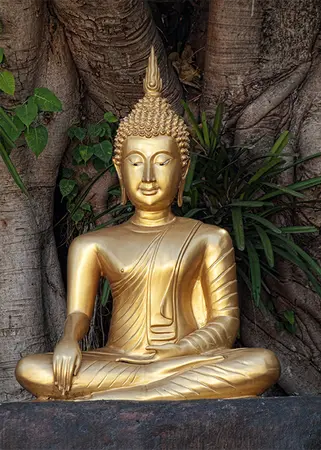 Alexsar Art Tuinschilderij boedhha goud 70x50cm - afbeelding 1