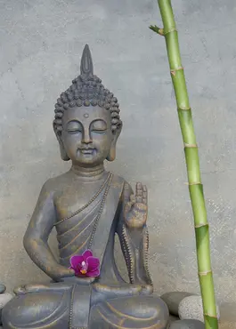 Alexsar Art Tuinschilderij boedhha grijs 70x50cm - afbeelding 1