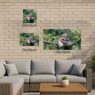 Alexsar Art Tuinschilderij boekvink 50x50cm - afbeelding 2