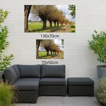 Alexsar Art Tuinschilderij bomen wei 70x50cm - afbeelding 2