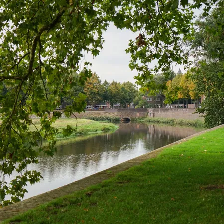 Alexsar Art Tuinschilderij bossche broek 50x50cm - afbeelding 1