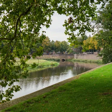 Alexsar Art Tuinschilderij bossche broek 50x50cm - afbeelding 1