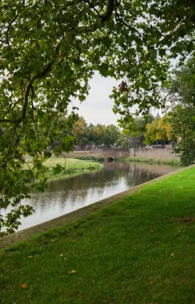 Alexsar Art Tuinschilderij bossche broek 50x70cm - afbeelding 1