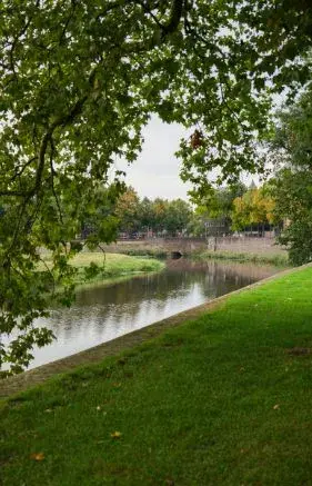 Alexsar Art Tuinschilderij Bossche Broek Den Bosch 130x70cm - afbeelding 1