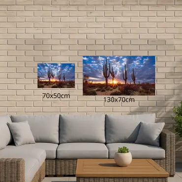 Alexsar Art Tuinschilderij cactussen 70x50cm - afbeelding 3