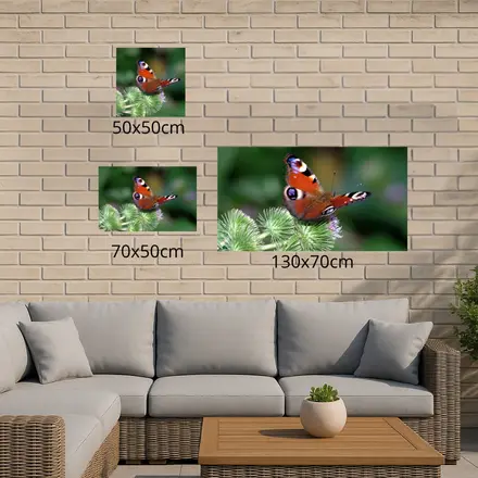 Alexsar Art Tuinschilderij dagpauwoog 50x50cm - afbeelding 3