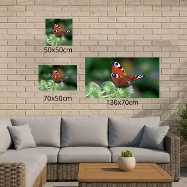 Alexsar Art Tuinschilderij dagpauwoog 50x50cm - afbeelding 3