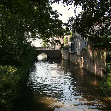 Alexsar Art Tuinschilderij de Binnen Dieze 50x50cm - afbeelding 1